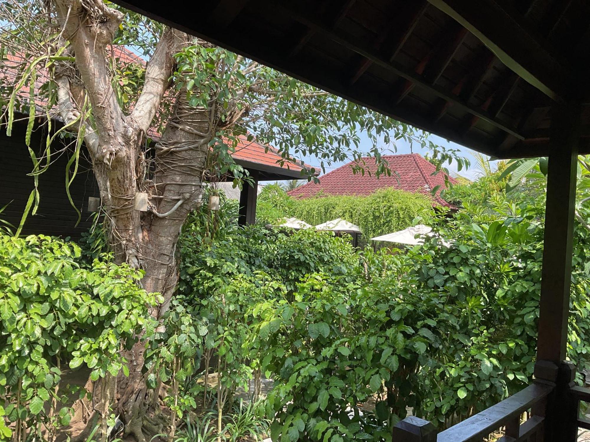 Bunutbali Villas88 Lembongan Buitenkant foto